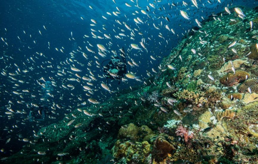 The Taaras Beach & Spa Resort