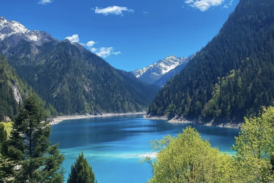 JIUZHAIGOU+EMEI JINDING 8/9D7N CNTFU08