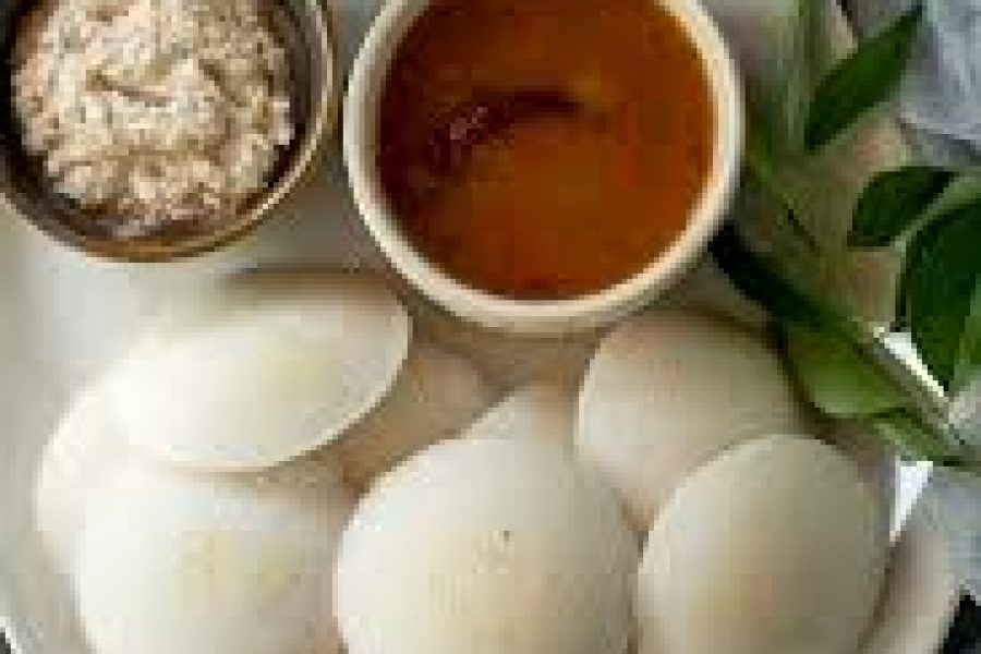 Idly Dosa Asian Rise Cuisine