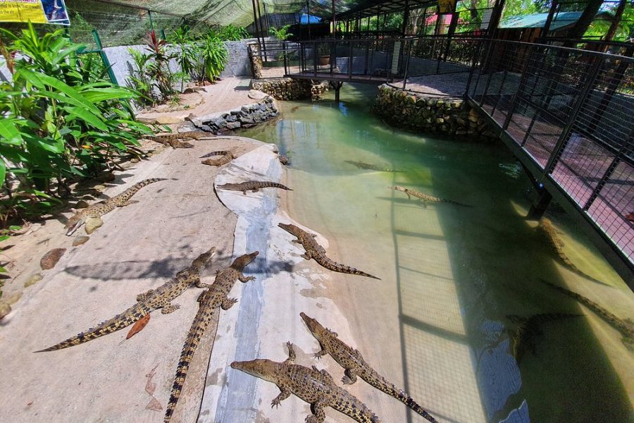Crocodile Adventureland Langkawi