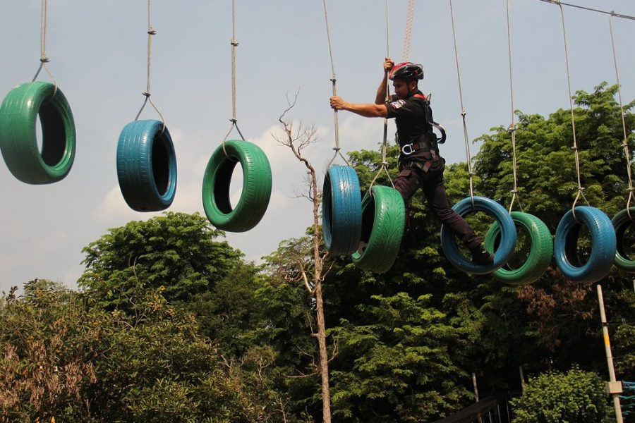 Orchard Canopy Walk