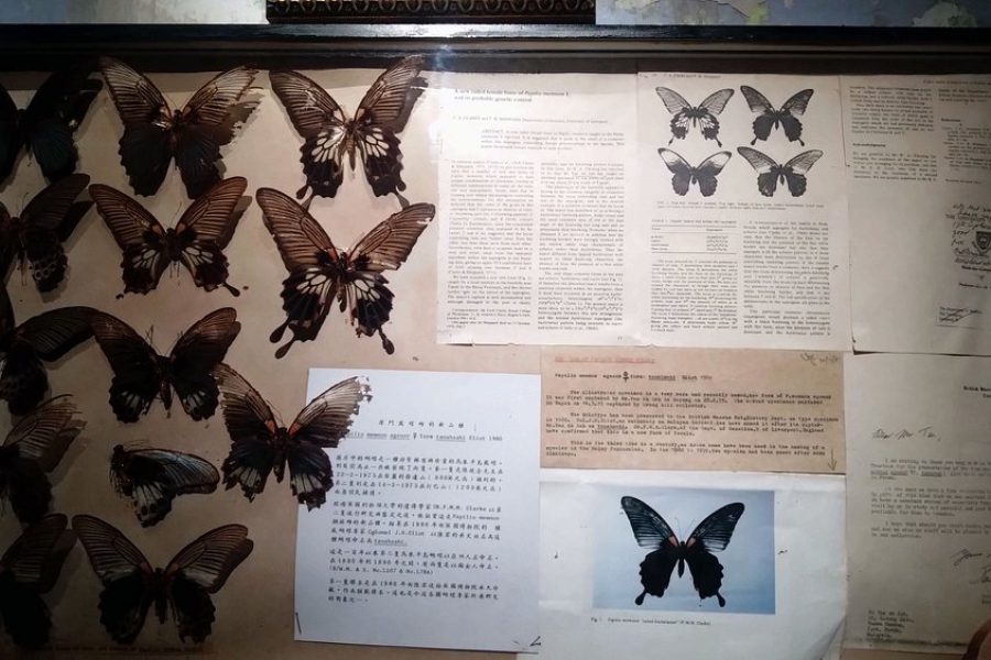 Museum Tanahsahi